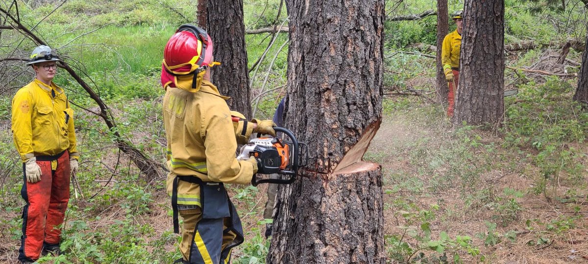 SacFirePIO's tweet photo. Members of the Sacramento Fire Department joined Ophir Hill Fire for their Wildland Saw Refresher Training. This training is required every three years to maintain FAL2 qualifications in the California mutual aid system.

SFD always ready to serve! https://t.co/eh7Q61ZgvJ