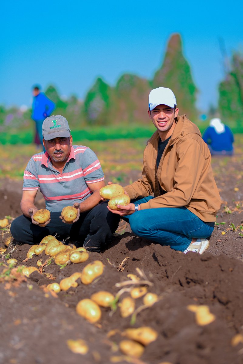 salahbasyoni's tweet photo. #topfert
#Potatos https://t.co/M09f6DqDRS