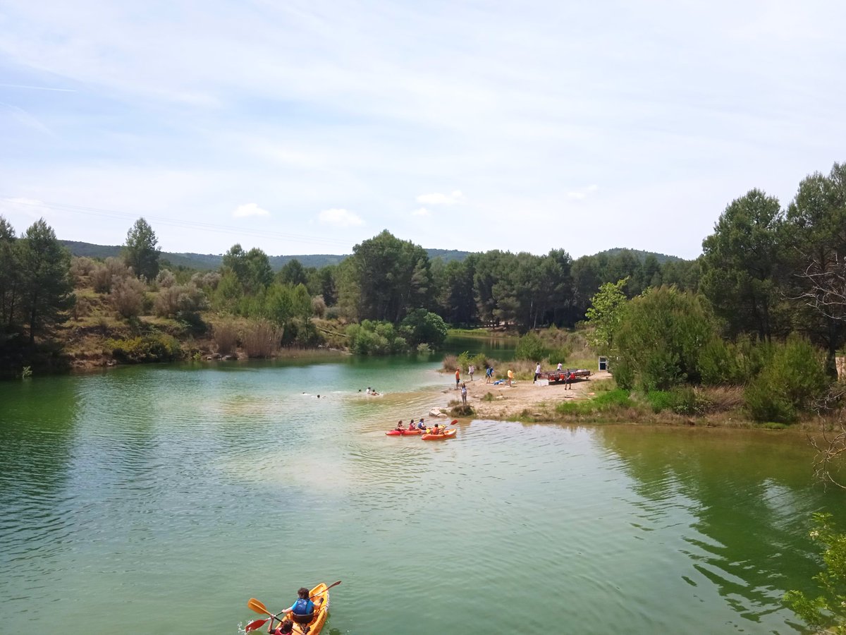 Hardacho tweet media