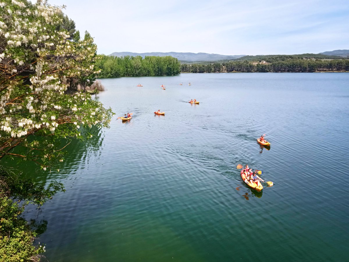 Hardacho tweet media