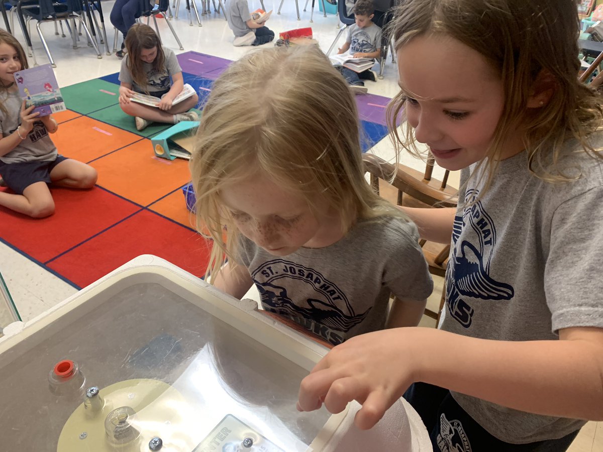MsHarringtonSJS's tweet photo. Happy hatch week! Enjoying time with our chicks before they go to live happily on the farm. 🐣 @JosaphatSchool https://t.co/jWJtM7nHdL