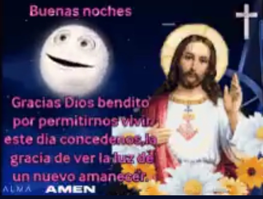 mujerlibreesp tweet picture