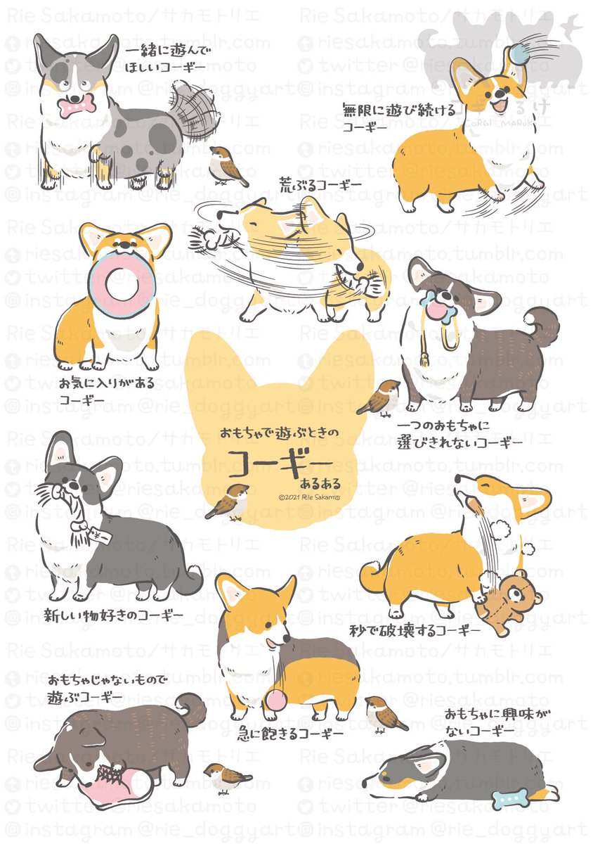 愛犬の日のコーギーあるある
#愛犬の日 