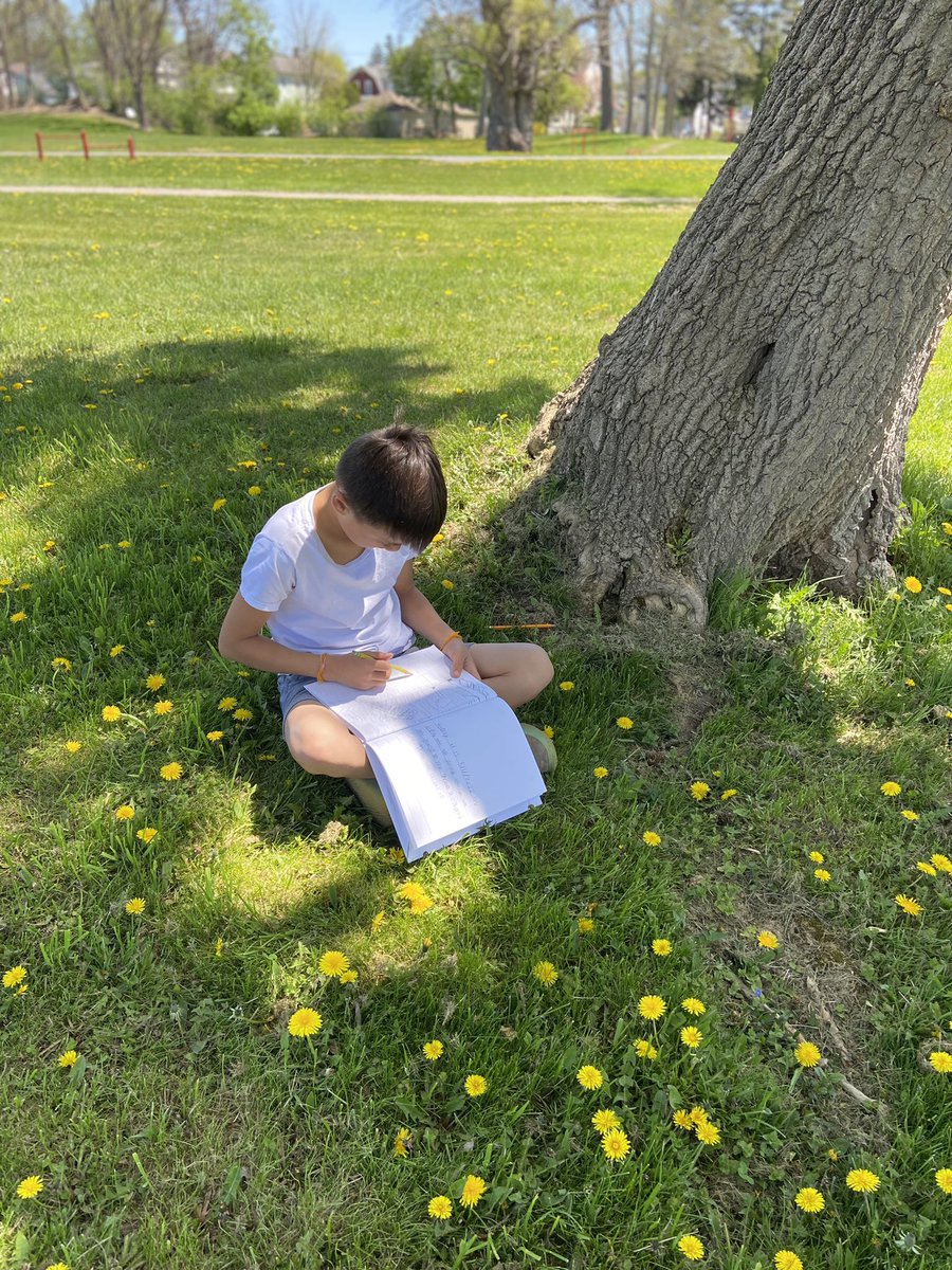 amandamaeharris's tweet photo. Beautiful week to learn to become field researchers!! #beascientist #love5thgradeELA #handsonlearning #weliveinabeautifulplace #canandaiguaproud https://t.co/gon5CT07uk
