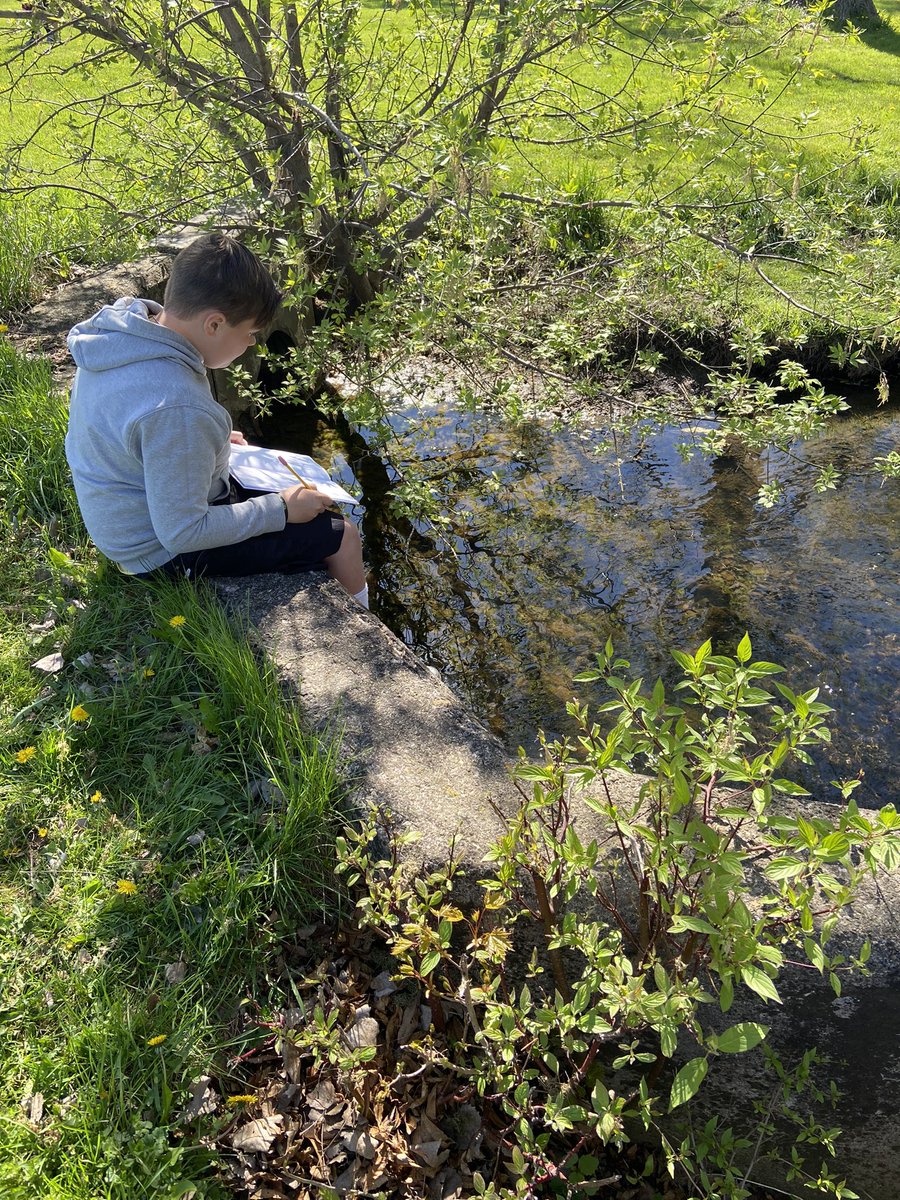 amandamaeharris's tweet photo. Beautiful week to learn to become field researchers!! #beascientist #love5thgradeELA #handsonlearning #weliveinabeautifulplace #canandaiguaproud https://t.co/gon5CT07uk
