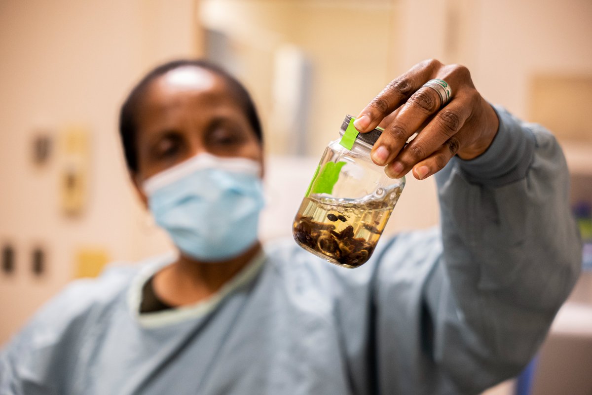 Alberta Precision Laboratories tweet media