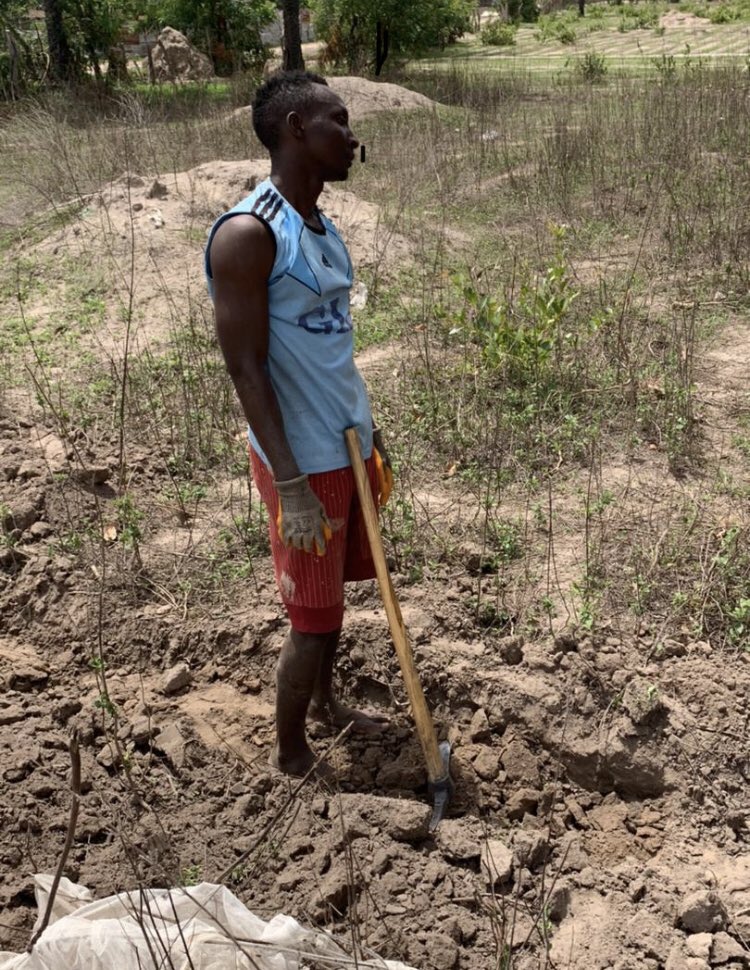 Hardworking determination of success