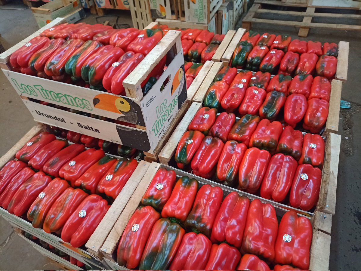 José Luis tweet media