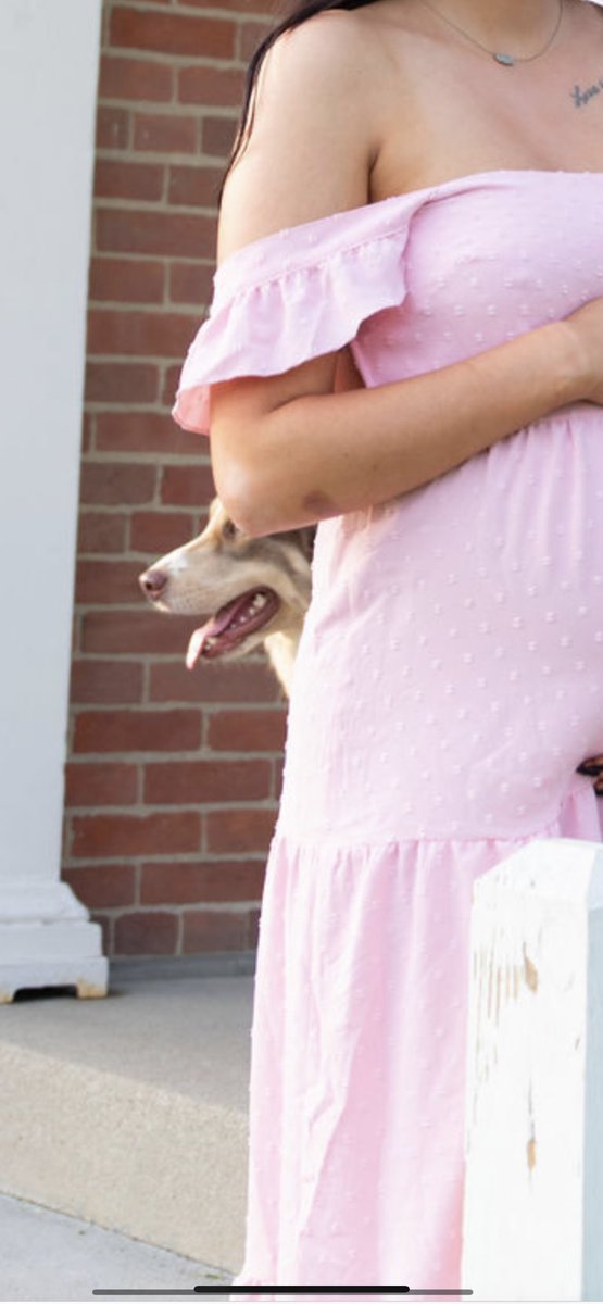 briannagoodall's tweet photo. I took my Maternity pictures today and a random Farm dog insisted on being in every shot 🐶 https://t.co/AjSjqMSHFq