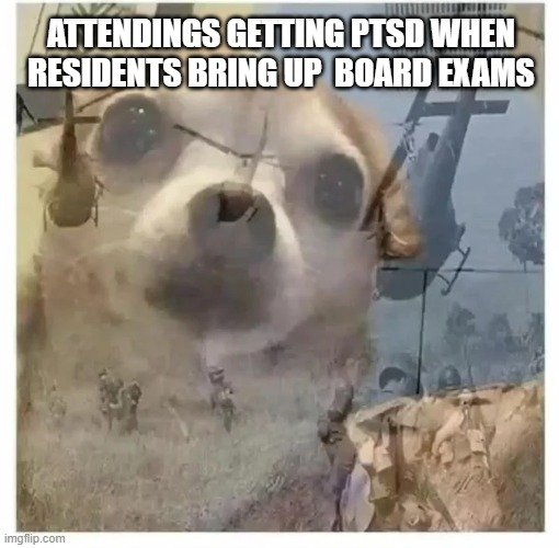 sbrtmemes's tweet photo. Some things never get better...
#pleaseneveragain https://t.co/Il7iQPHTgU