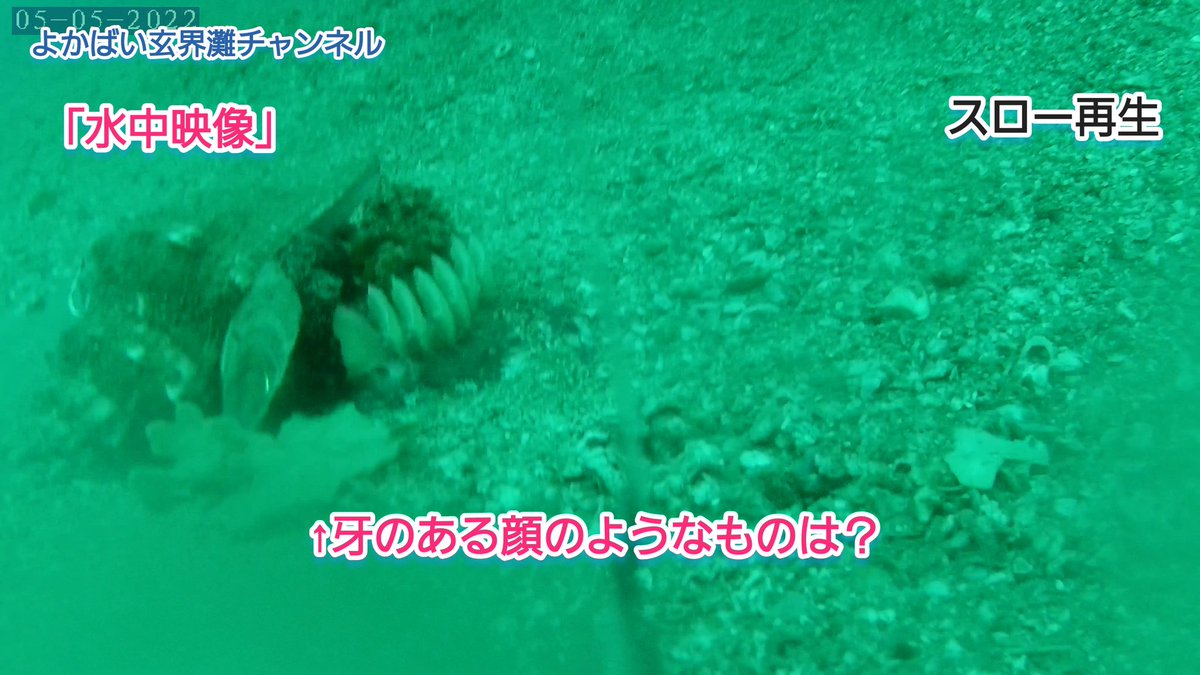 musxKyoOxOnwQ1O's tweet photo. 落とし込みで海の底に仕掛とカメラを落としたら、なんか異様なものが写ってました！😲
これはいったい何なのか(?_?)
わかる人いたら教えてください。
#海　#水中カメラ #釣り
因みにその時の動画はこちら↓
https://t.co/YKo3CKQeaU https://t.co/OWcEp5SmcX