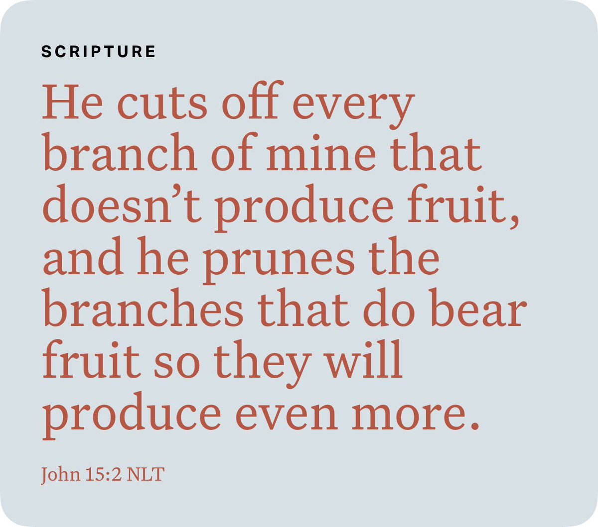 John 15:2 NLT bible.com/bible/116/jhn.…