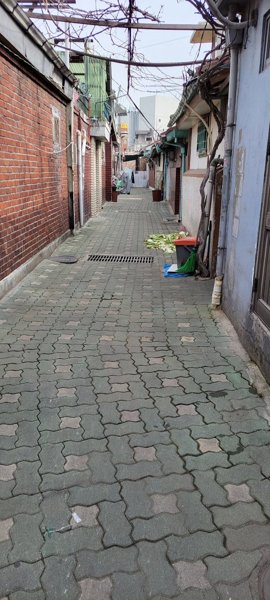 오늘이 나의 최초의 날이고 최후의 날로 생각하고 살아라.

#이스라엘격언