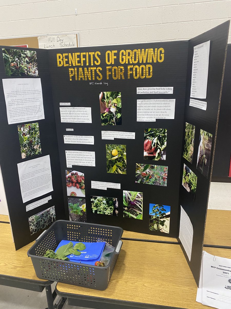 Paula Tseunis, Ed.d tweet media