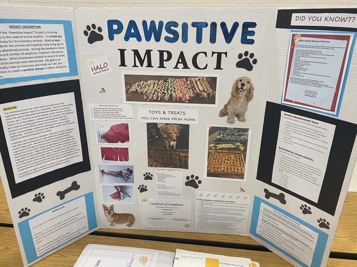 Paula Tseunis, Ed.d tweet media