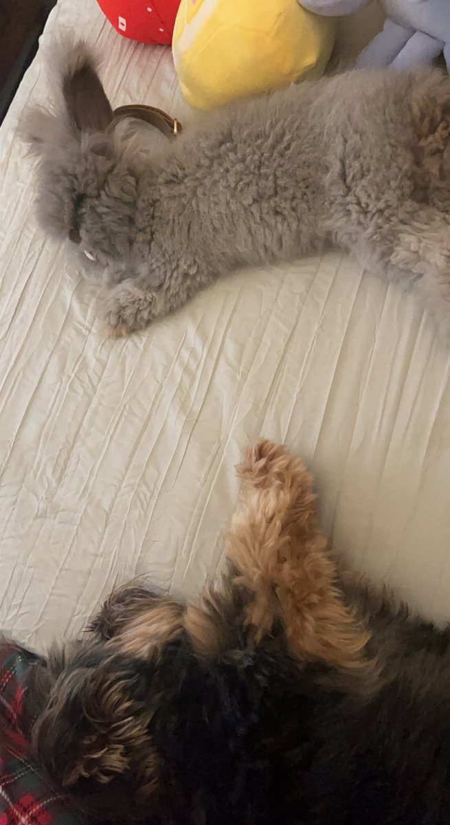 Snuggling with sissy 💕