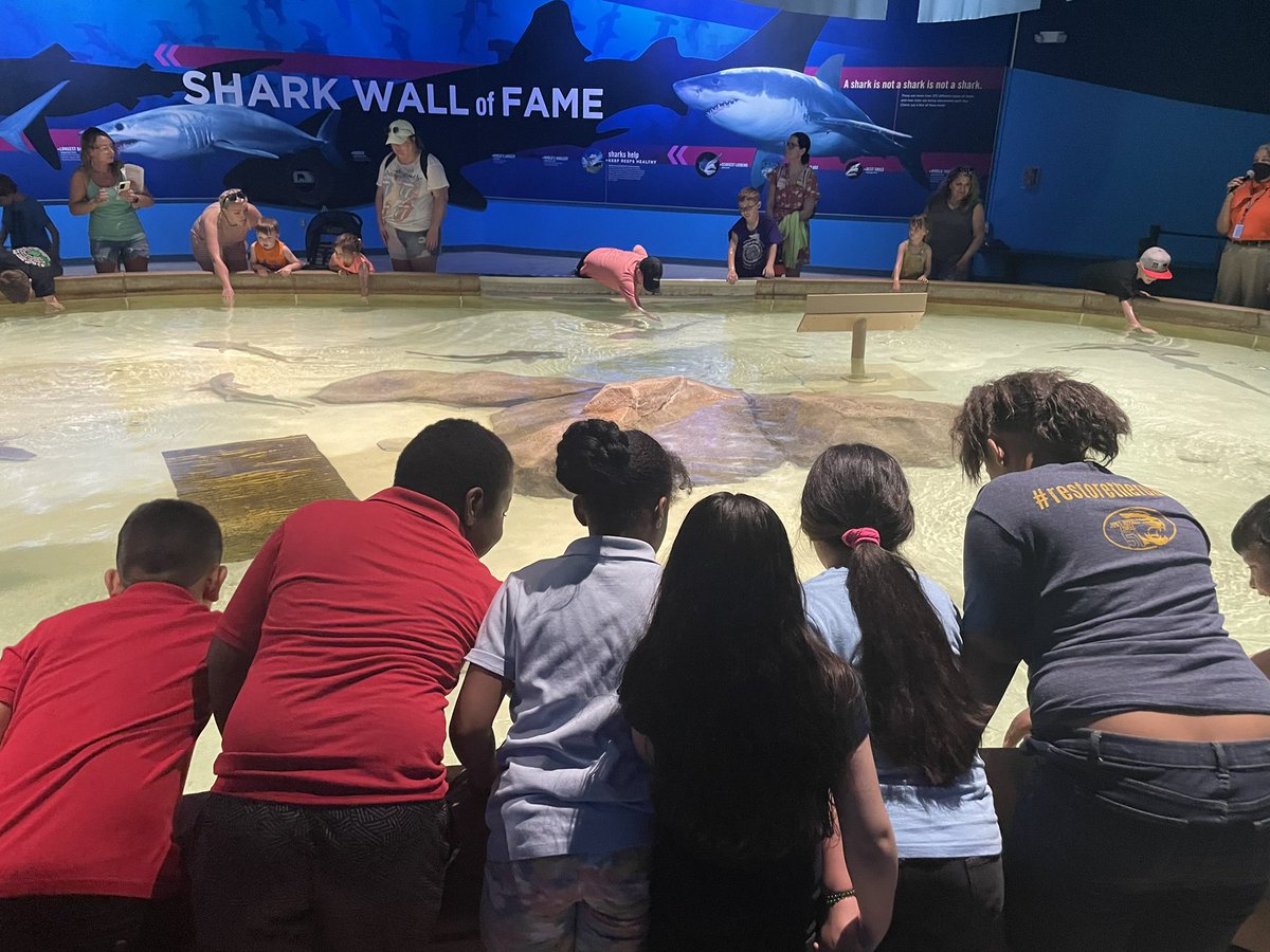 Second grade had a wonderful time today at the zoo! <a href="/brynn_kardash/">Brynn Kardash</a> <a href="/IPSSchools/">IPS</a> <a href="/DrNHenderson/">Nathalie M Henderson, PhD</a> <a href="/IPSTZ/">IPS.TransformationZone</a> <a href="/AleesiaLJohnson/">Dr. Aleesia Johnson</a> <a href="/LumbleyPat/">Pat Lumbley</a> <a href="/DrWarrenMorgan/">Warren Morgan</a>
