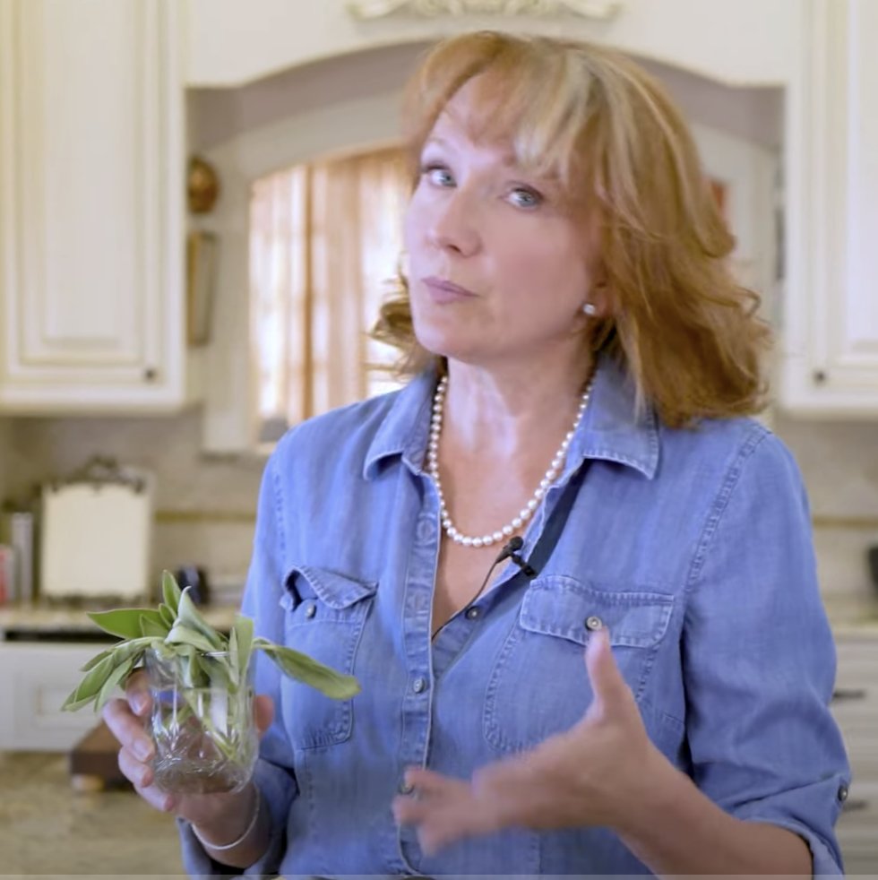 LakesideTable's tweet image. FUNELICIOUS Cooking = having Fun + making Delicious dishes.  (that word almost looks naughty) This Brown Butter Sage recipe definitely Funelicious for sure!  Check it out: youtu.be/Hlm-SebB84s from @lakesidetable #brownbutter #pastasauce #pasta