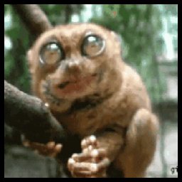 JhackDobol's tweet photo. - Eu olhando meu amigo babar o Beck todo! https://t.co/rQxWpImNfF