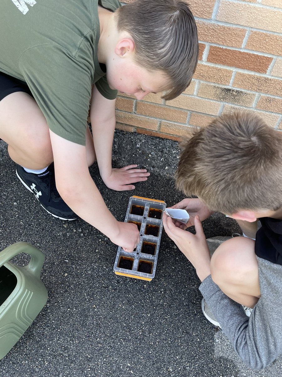 Hull_TeachAg's tweet photo. Today, 7th grade exploratory took advantage of the nice weather to plant their seeds outside! #huskyNProud https://t.co/luf2RdnO2j