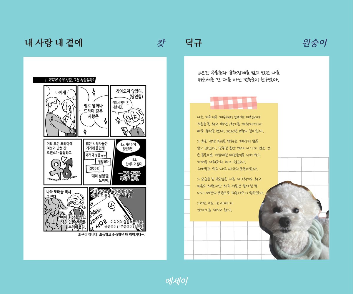 매실(MAESILL) tweet media