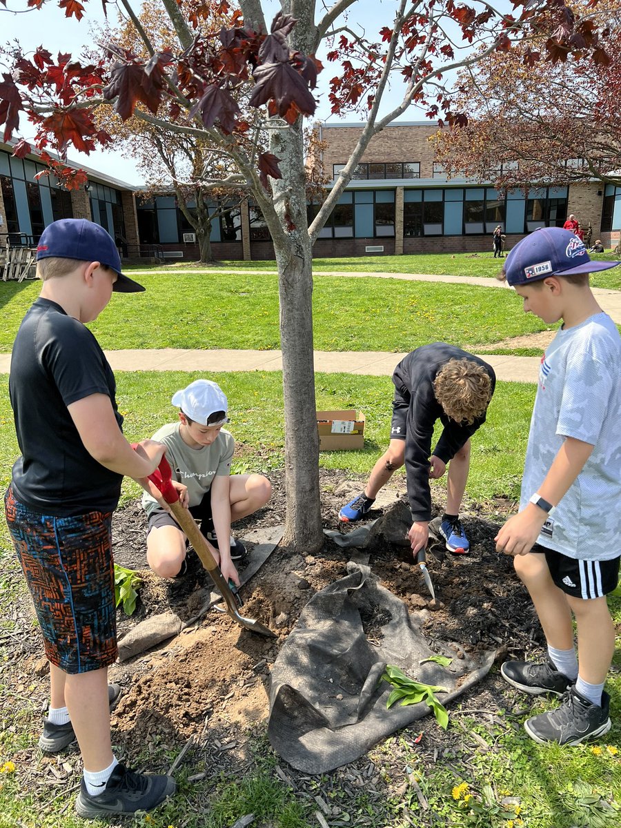 MrsBCarpenter's tweet photo. Learning fun in the sun! Great day to work on the courtyard gardens. #wearequest https://t.co/33F47JXXBk