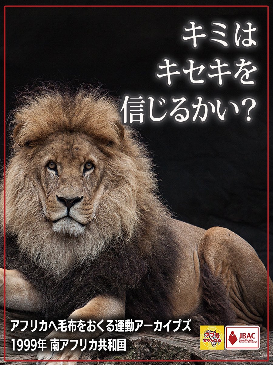 JBAC2017's tweet photo. 収集キャンペーンも残り１ヶ月！久々にアーカイブズの回です😃
【アフリカへ毛布をおくる運動アーカイブズ】1999年南アフリカ共和国
https://t.co/EYn4mVz4SC

↓これまでの内容↓
https://t.co/CF3czZwqe6

#アフリカへ毛布をおくる運動 #アフ毛 #アフ毛ちゃんねる #アフリカと私 https://t.co/xt11qxzyaa