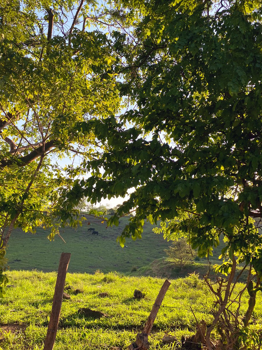_soniacarcamo_'s tweet image. Tarde ideal para ir a pedalear 🚵🏻‍♀️🌤🍃🌳🏞 #AfterWork #BeforeClass