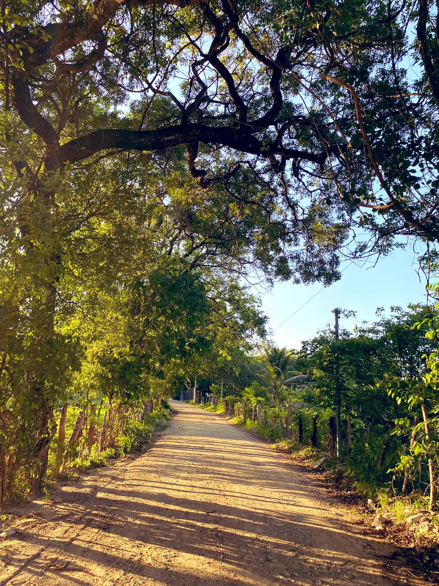 _soniacarcamo_'s tweet image. Tarde ideal para ir a pedalear 🚵🏻‍♀️🌤🍃🌳🏞 #AfterWork #BeforeClass