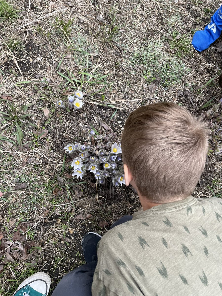 OurDiscoveries's tweet photo. Taking in and celebrating Manitoba Day in our own yard! https://t.co/M3J0BMxwQc