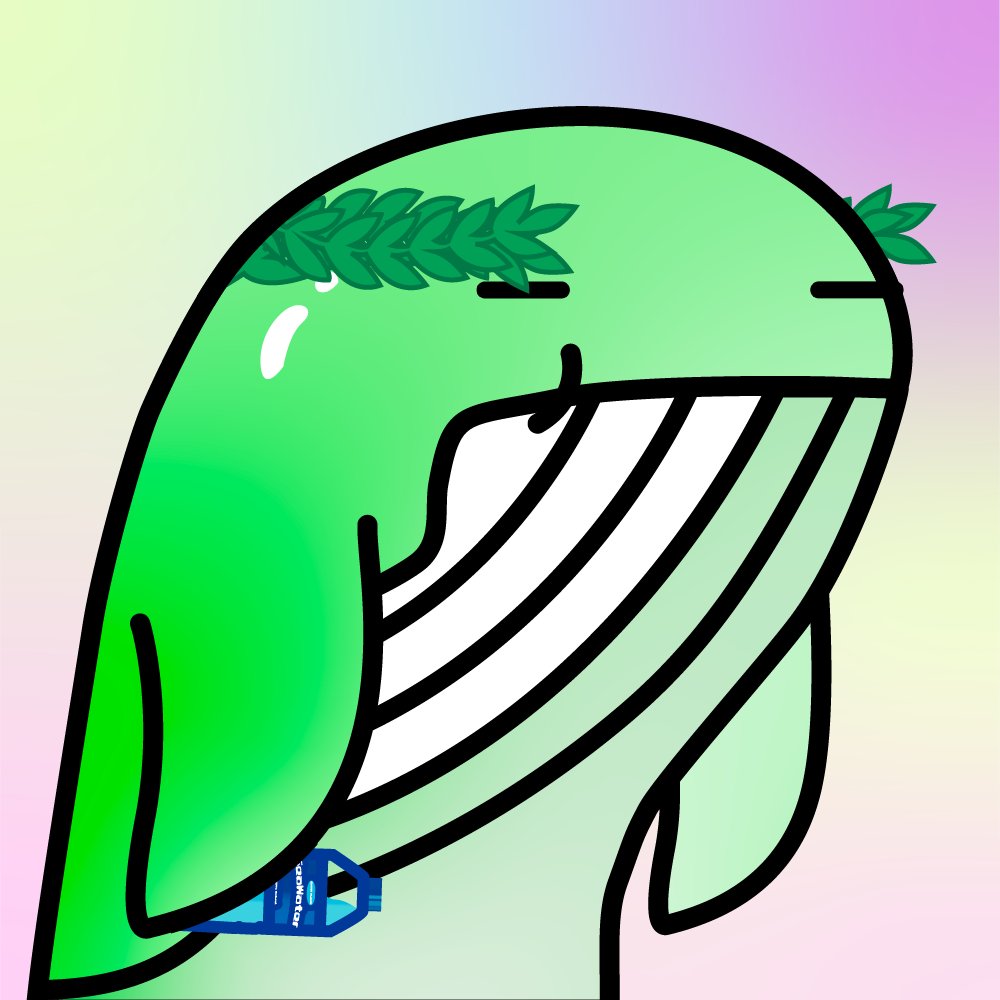 WackyWhalesSOL's tweet photo. What the Wack... 🐳 #WackyWhalesNFT https://t.co/zn2LYfiWWc