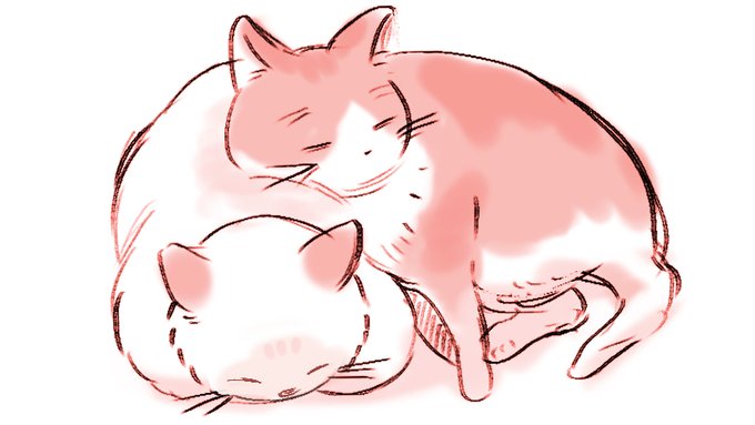 ニャンコさん ひさしぶりにくっつきらぶらぶねんねしてる…やっぱちょーしわるかったんだなー きょーはちょーしいいんだなー☺️よかったよー けんさけっかきになるけど とりあえずいま まったりすごせててよかった😺😺 ほんとよかった 