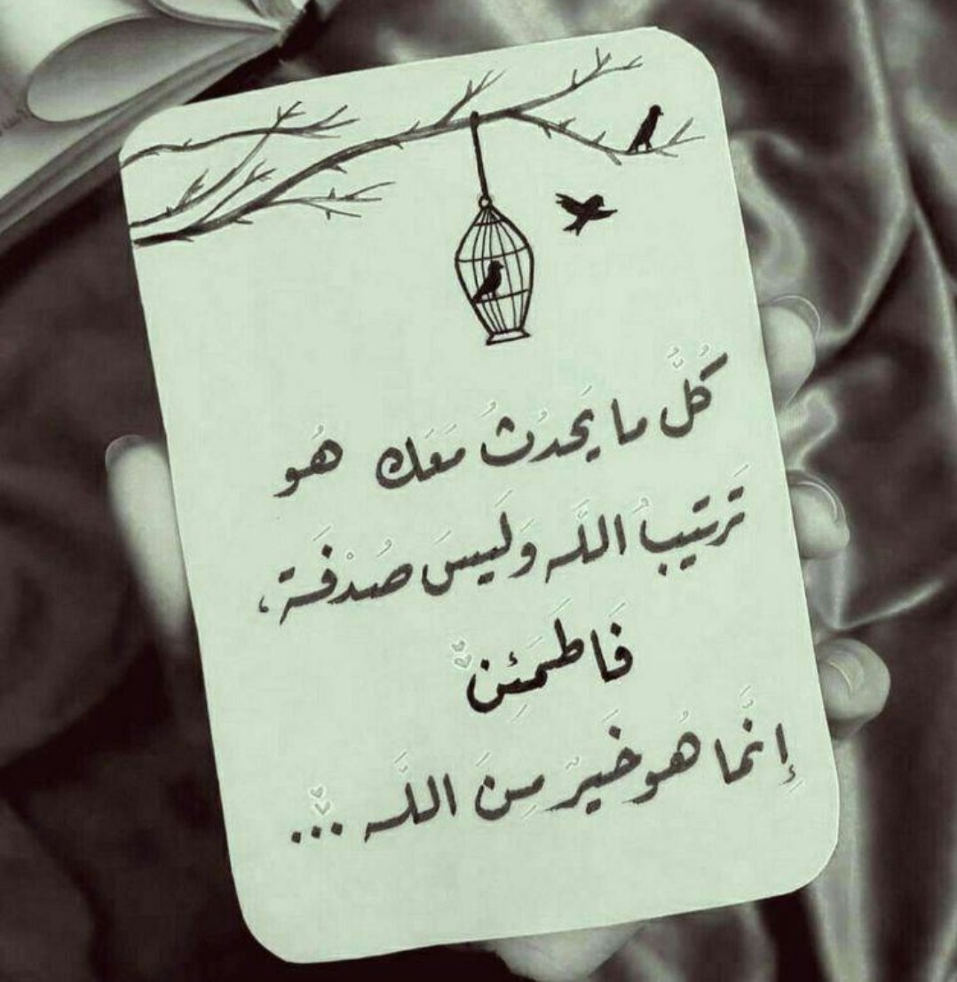 kanomoh55's tweet photo. @Bin_Jari 
  @Dr_Adnansh
@Drghada4 @AlheadFayez   @drsami5566 https://t.co/PH6MlS5iTS