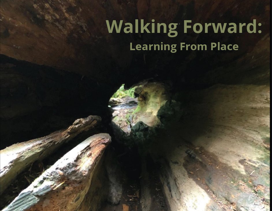 YES! <a href="/hwoodro/">HJ Wood</a> and I just launched "Walking Forward: Learning from Place" #imaginED #walkingcurriculum
The Walking Forward resource applies an Indigenous lens to imaginative walking practices to support understanding First Peoples Principles of Learning 
gillianjudson.edublogs.org/files/2022/05/…