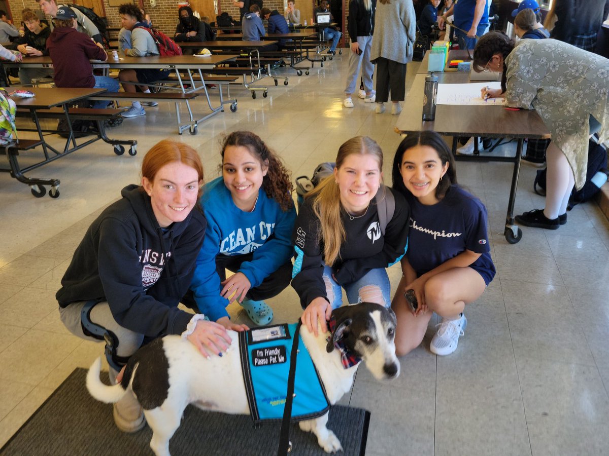 LynsieRomanek's tweet photo. Brunswick High students are loving therapy dogs! #mentalhealthmonth https://t.co/siJcO9yxzn