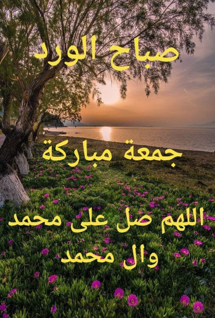 بسم الله الرحمن الرحیم✨بسم الله الذي لا يضر مع اسمه شيء في الأرض ولا في السماء وهو السميع العليم.
اللهم إني اسألك العافية في الدنيا والآخرة.اللهم إني أسألك العفو والعافية في ديني ودنياي وأهلي ومالي🤲 اللهم احفظنا بحفظك وانت خير الحافظين. ✨صباح الخیر والعافيه ✨🌼جمعة طيبة🌼