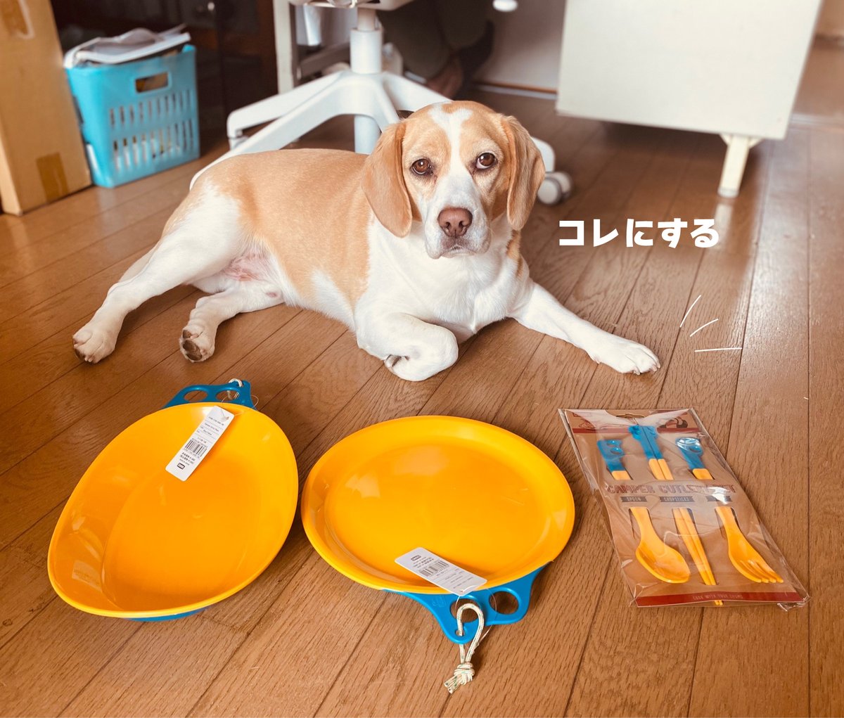 market_bears's tweet photo. キャンプ好きのれもん店長はどれをGETするか迷った末、携行性に優れたアウトドア用カトラリー3点セットを選択。

店長それ一番使いませんよね？？

[楽天] https://t.co/AcqcQVlD69 #RakutenIchiba 

#BEARSMARKET
#チャムス
#CHUMS
#キャンプ初心者 
#犬好きさんと繋がりたい https://t.co/8lTPEeyJvO