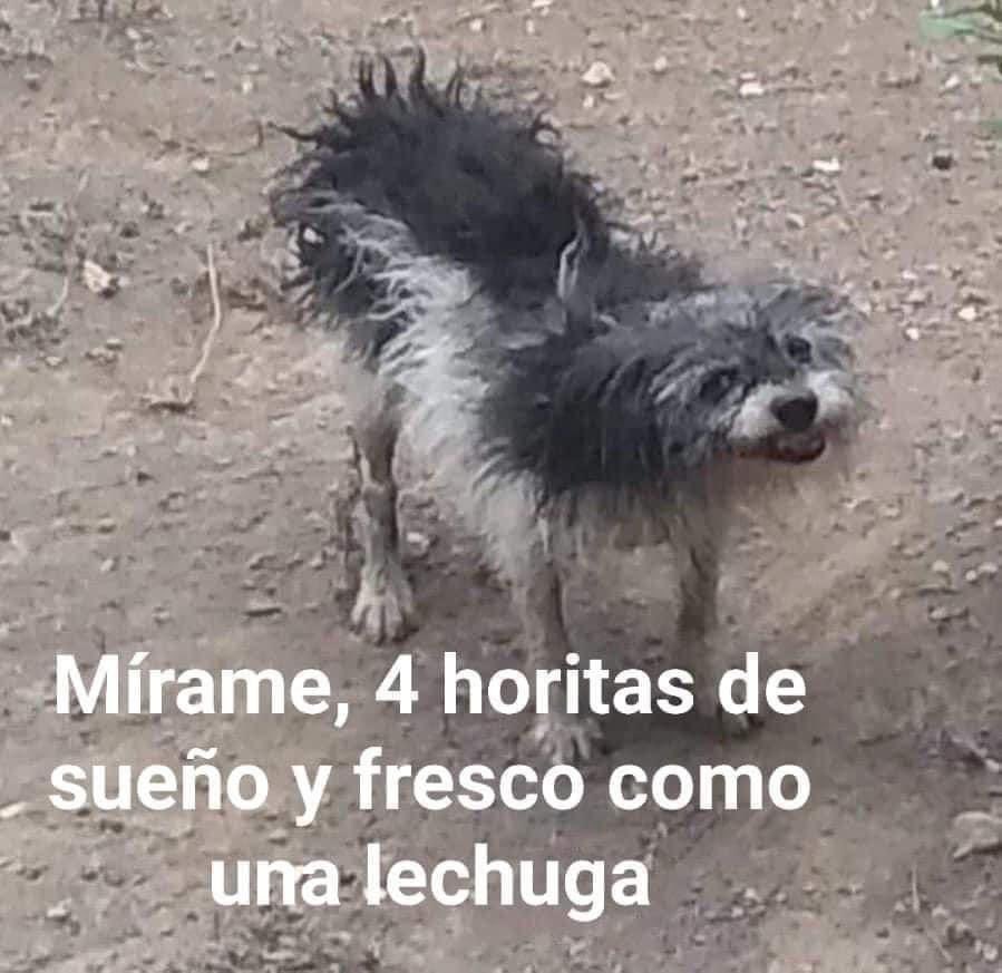 Una de las semanas más pasadas del año :(