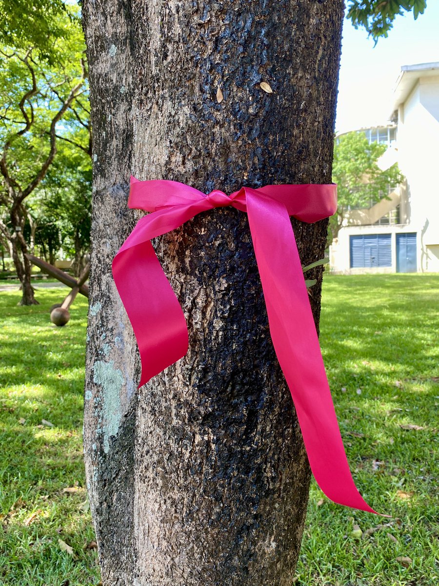 jayeel_cornelio's tweet photo. Pink ribbons around Ateneo de Manila as the university prepares for tonight’s gathering. I’m proud to be part of a community that remains steadfast in spite of. https://t.co/AJmRqomcns