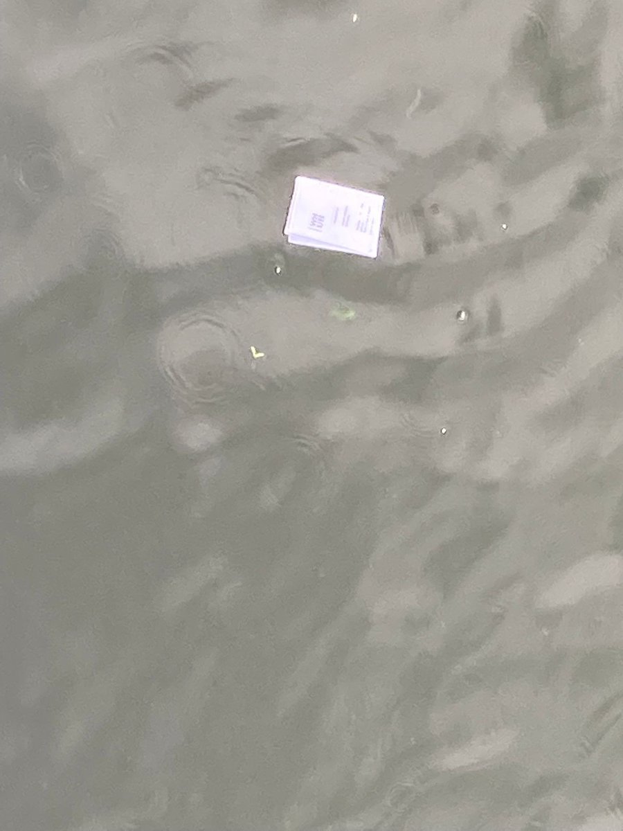 Our <a href="/Tommedian/">Tommy Tiernan</a> tickets fell out of my pocket and blew into the sea.