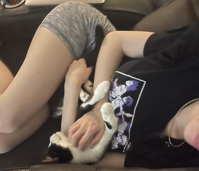 1 pic. daphne paying her snuggle taxes https://t.co/PBteQdAHYd
