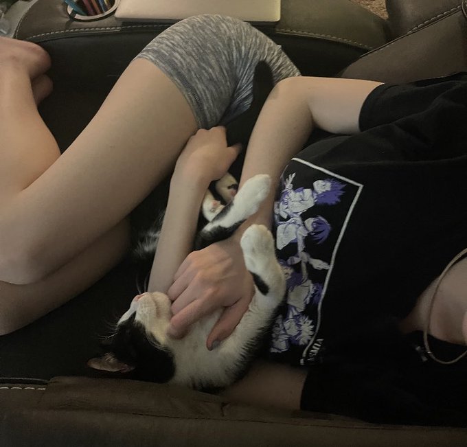 2 pic. daphne paying her snuggle taxes https://t.co/PBteQdAHYd
