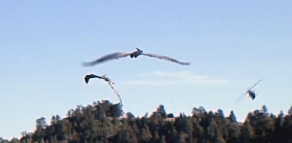 Lewis Lee (Jurassic Korea) tweet media