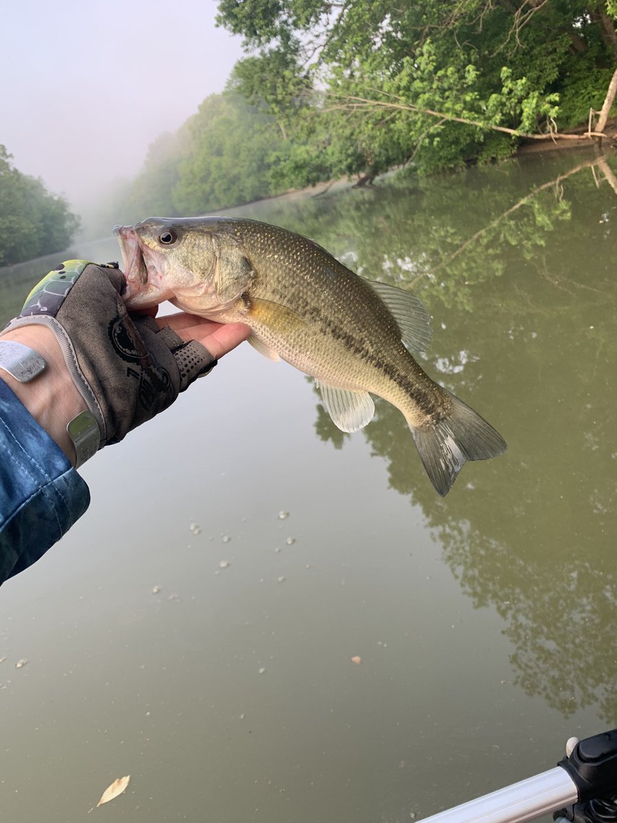 RB_Bassin's tweet image. Got the @caneyfoutdoors #HobieProAngler360 out today for some fun fishing on the #HarpethRiver. We had a blast and found a bunch of fish.  Got to slime up the ol #ketchboard and #fishmonkey gloves as well as put my @Abu_Garcia gear to the test.  @ZOOMBaitCompany brought em in!