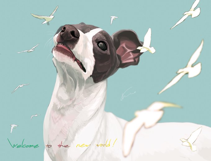 「愛犬の日」のTwitter画像/イラスト(新着))