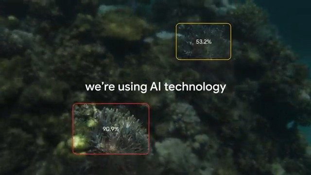 forarbejdning Imagination Outlaw googledownunder on Twitter: "We've been working with the @CSIRO to build a  digital solution to help protect our coral reefs from outbreaks of a  predatory starfish. Learn more → https://t.co/QkhMWr0Tht.  https://t.co/tbZLJhRNX5" /