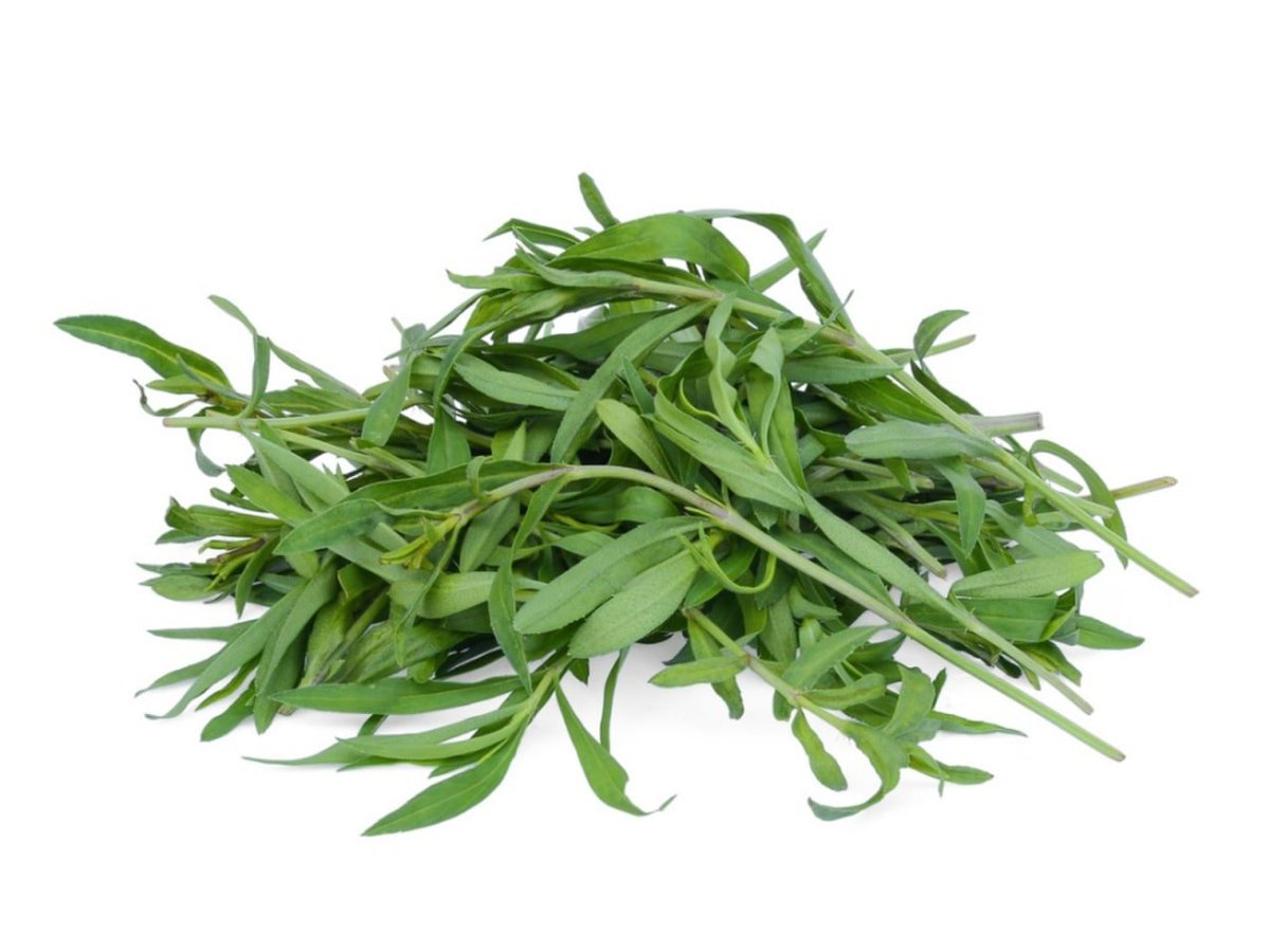 0xMacTonight's tweet photo. If I had to describe the last 48 hours in crypto with a single picture of an herb: https://t.co/MizUF5TyLv