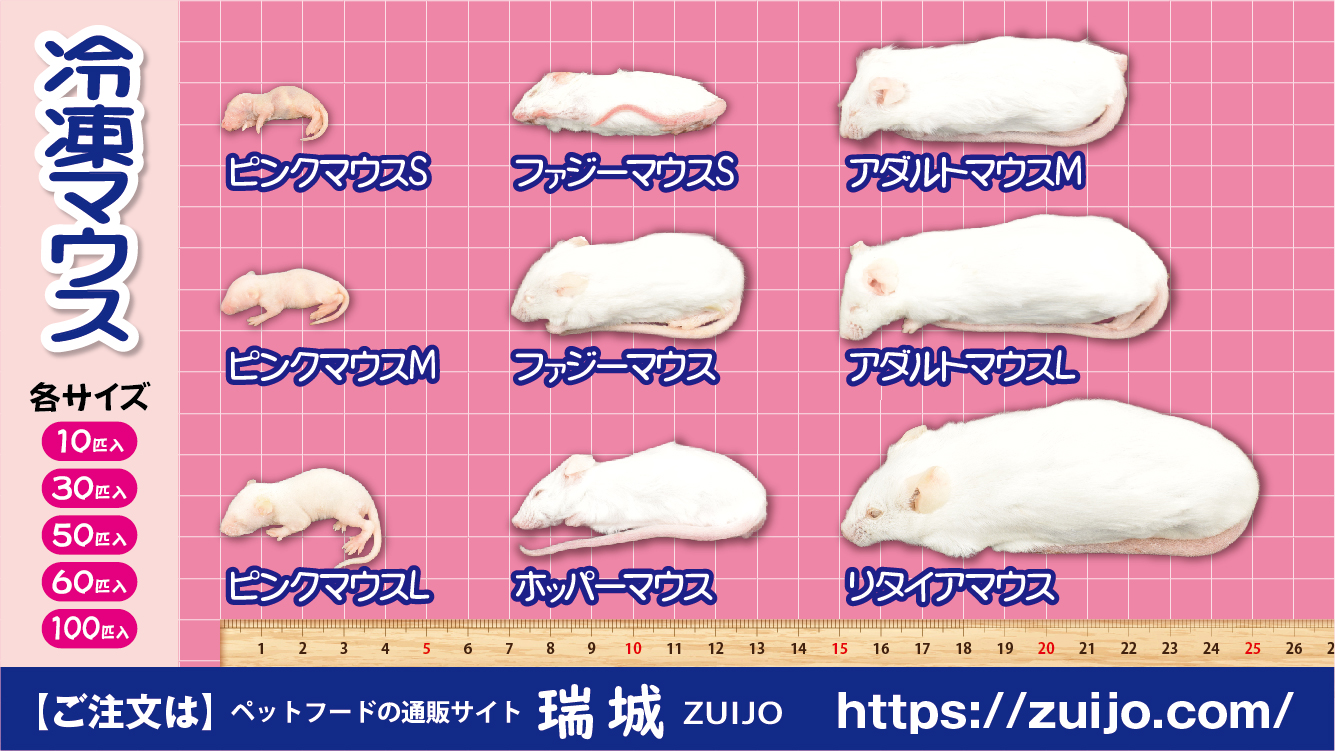 冷凍マウス・ラット各種 - ペット用品 冷凍マウス・ラット各種 - ペット用品