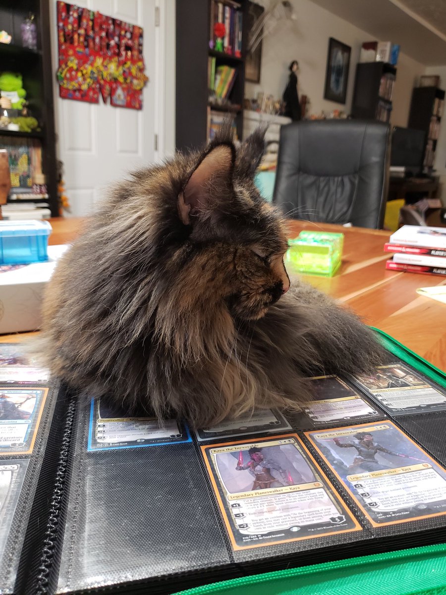 Seanan McGuire tweet media