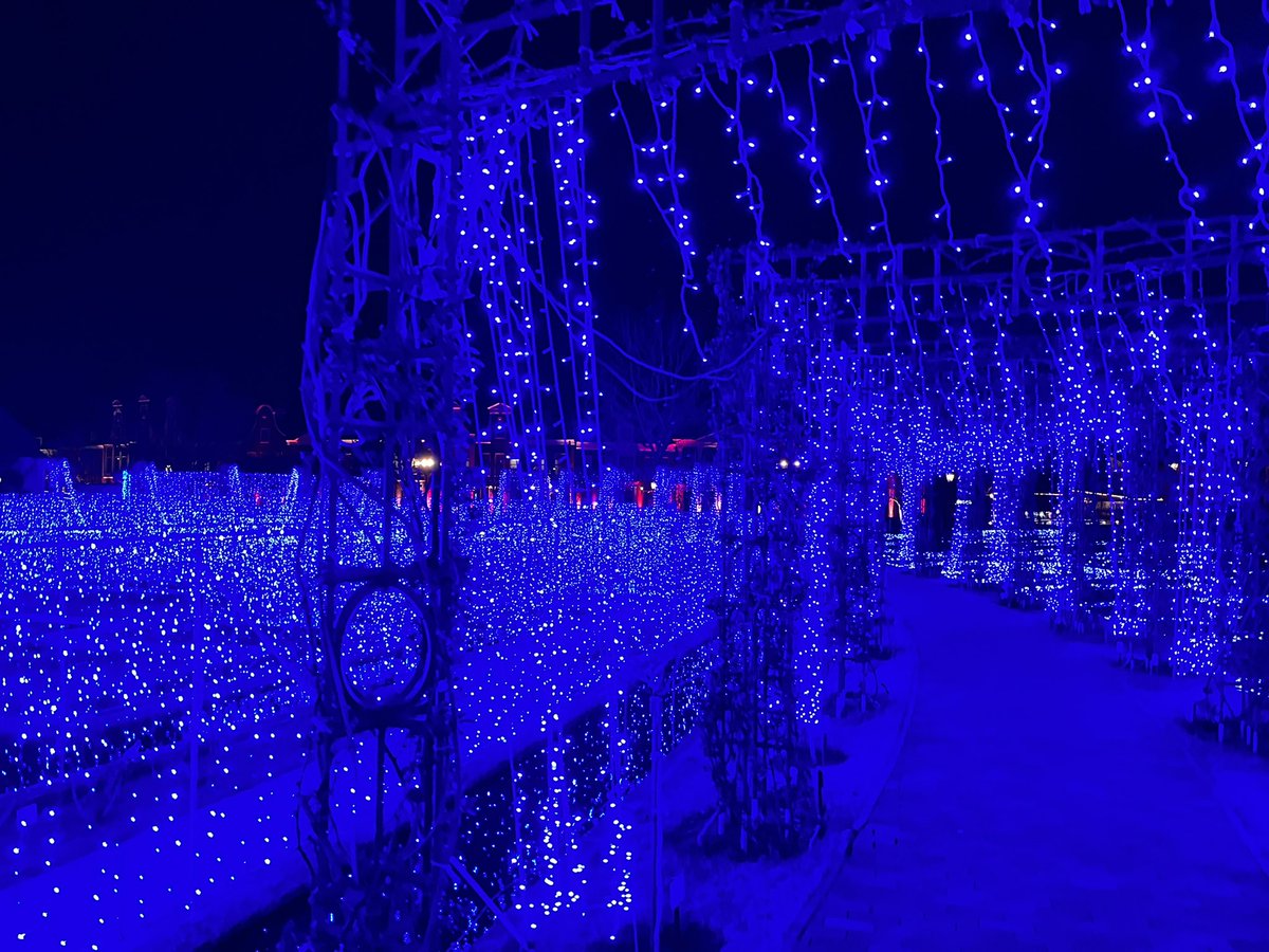 sunday_7771's tweet photo. ハウステンボスです。写真などを撮ってきたのでポツポツ紹介します。イルミネーションのメイン会場は一面のブルーです。観覧車は色とりどりに光ります。通路を歩いても何から何までブルーの世界が広がり���す。#長崎 #nagasaki #佐世保 #ハウステンボス #イルミネーション https://t.co/w4Iy4mpJQi